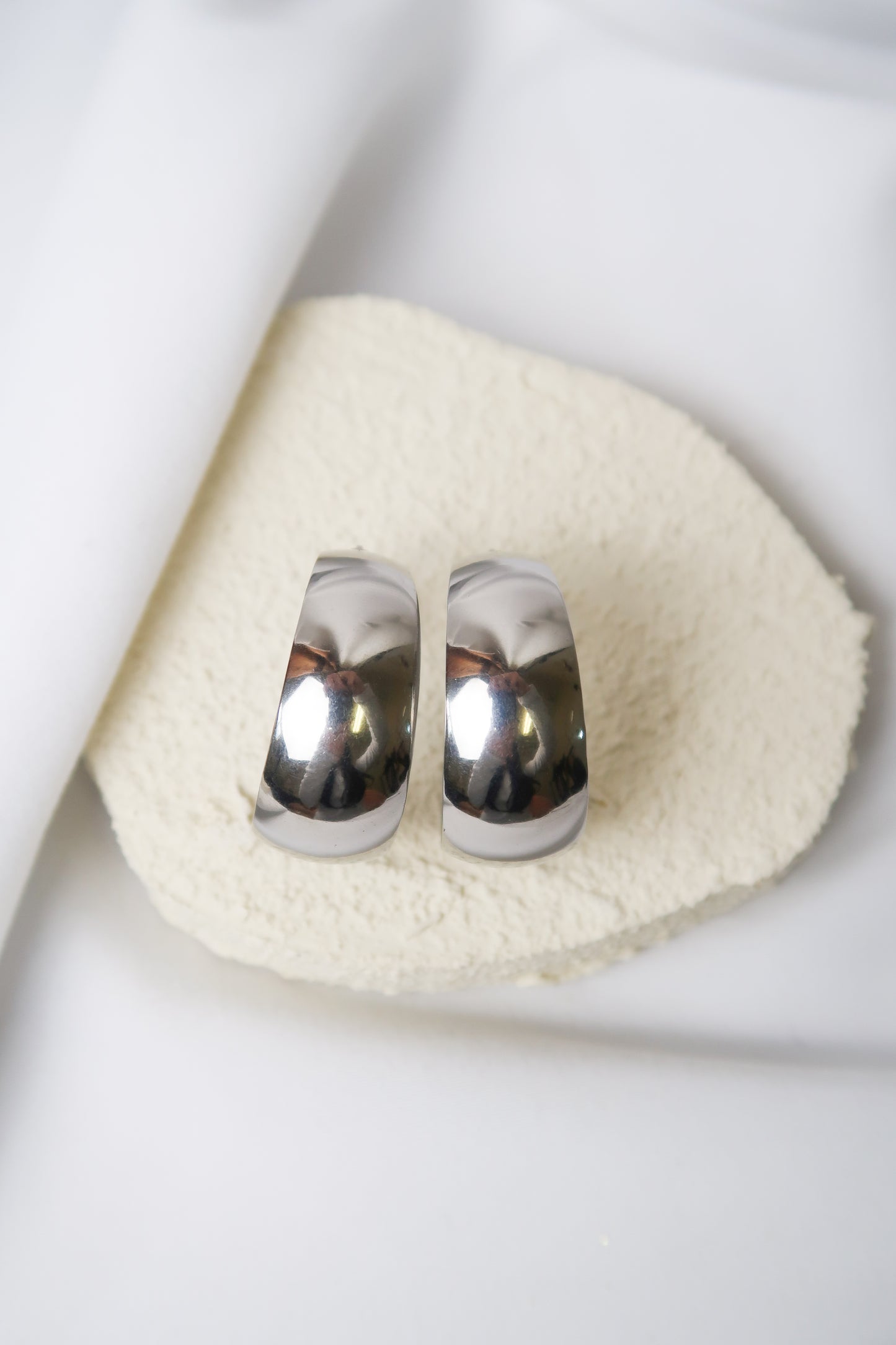 Sleigh 316L Stainless Steel Earrings Duo